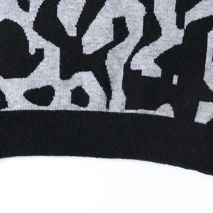 2022 new fashion leopard sweater v neck loose casual pullover sweater for women