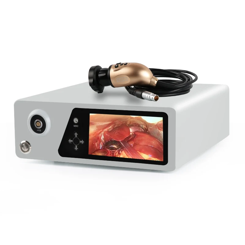 Digital Portable Flexible Electronic Endoscope Camera Wireless Video ENT Endoscope