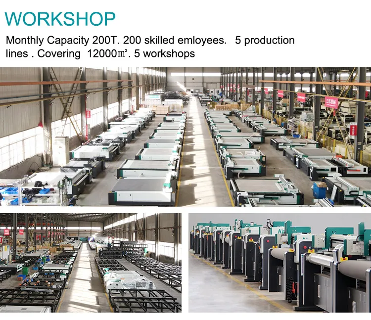 AOL Automatic Cnc Composites Fiber Insole screen protector making machine Cutting Machine Price manufacturer