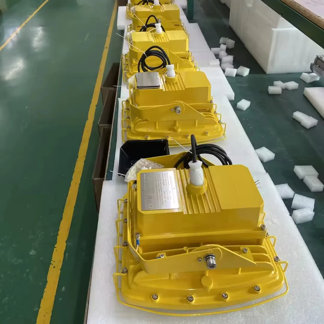 Ex-proof Led Light Gas Station 20W 80W 100W 150W 200W Surface Mounted Recessed LED Class I Division 2 Atex Led Flood Light