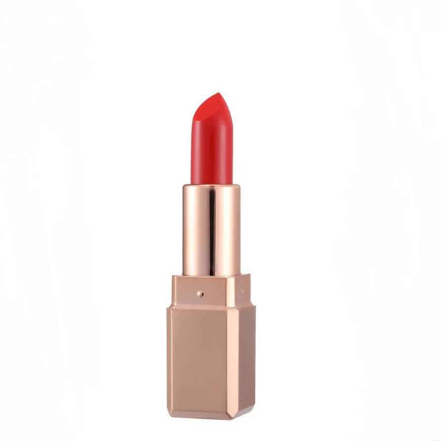 Private Label Matte Liquid Lipstick 30 Color Fashion Sexy Lip Gloss Drop Shipping Service