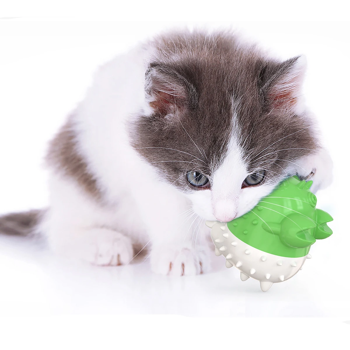 High quality new automatic cat toothbrush interactive cat pet toy