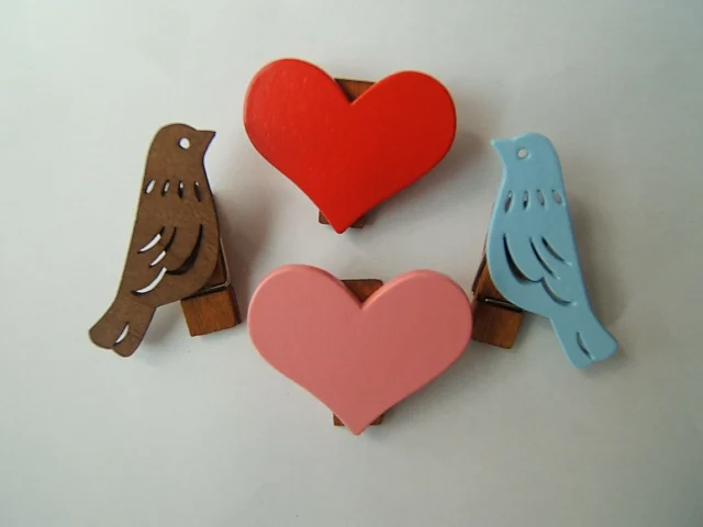 Laser engraving Wooden magnetic clip Wood Message paper clip business card holder