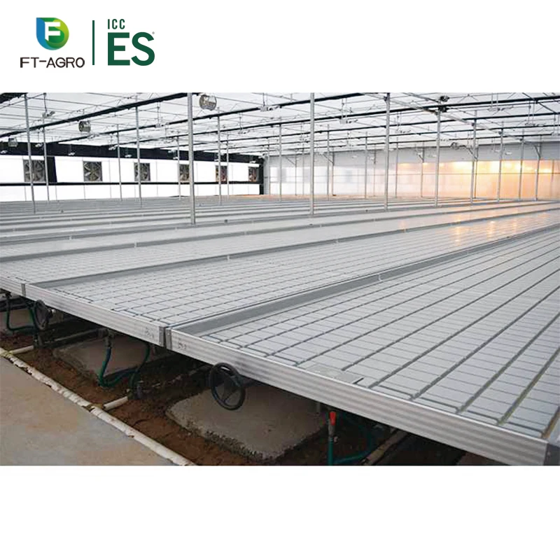 Agricultural equipmentHot sale and best selling Seeding Bed For Vegetable Growing