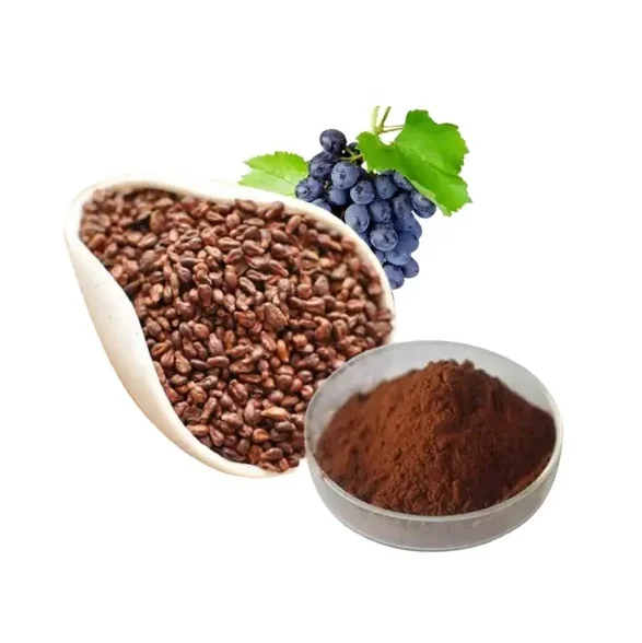 Innovy Factory Wholesale Best Price of Grape Fruits Seed 20: 1 Grape Seed Extract