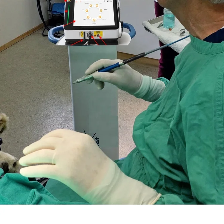 Vet surgery Veterinary Laser Surgical Machine
