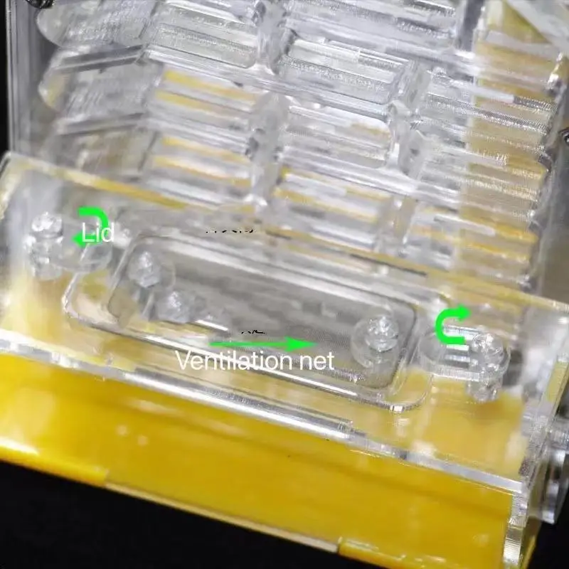 Acrylic Ants Housing Nest Insect Cage Feeding Ant Farm single Test Tube acrylic reptile cage ant moat