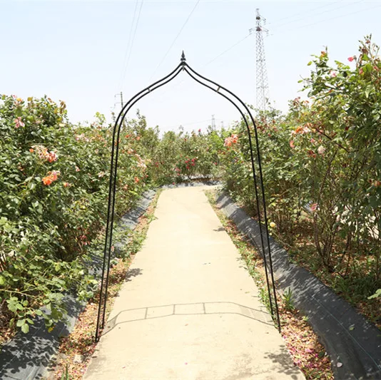 Metal garden arch for climbing plants