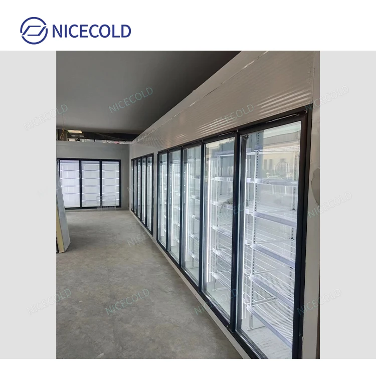 Custom Glass Door Walk In Freezer Cooler Display Cold Room Price Discount