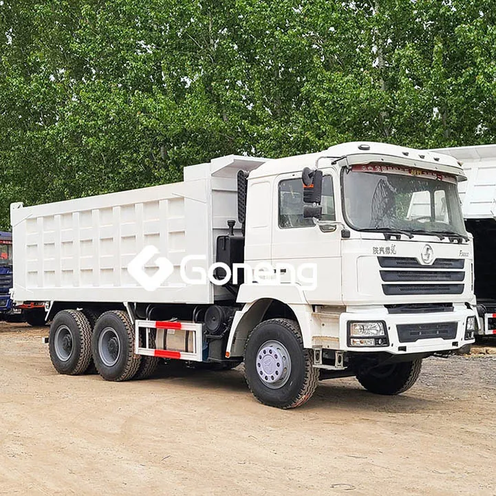 Шаманский самосвал хорошее состояние, 2018 2020, старый Китай, Подержанный самосвал shacman 6x4 20t 30t из Китая