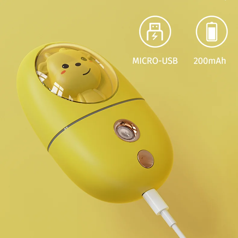2021 Private Label Vaporizador Steamer Facial Nano Ionic Handheld Beauty Face Mist Spray