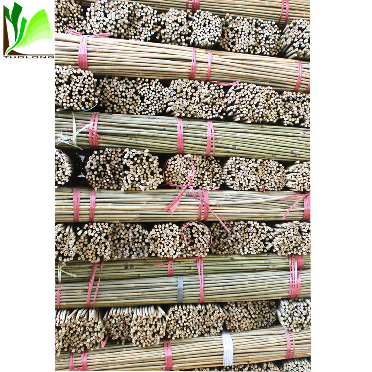 Natual Dry Bamboo Trunks for sale