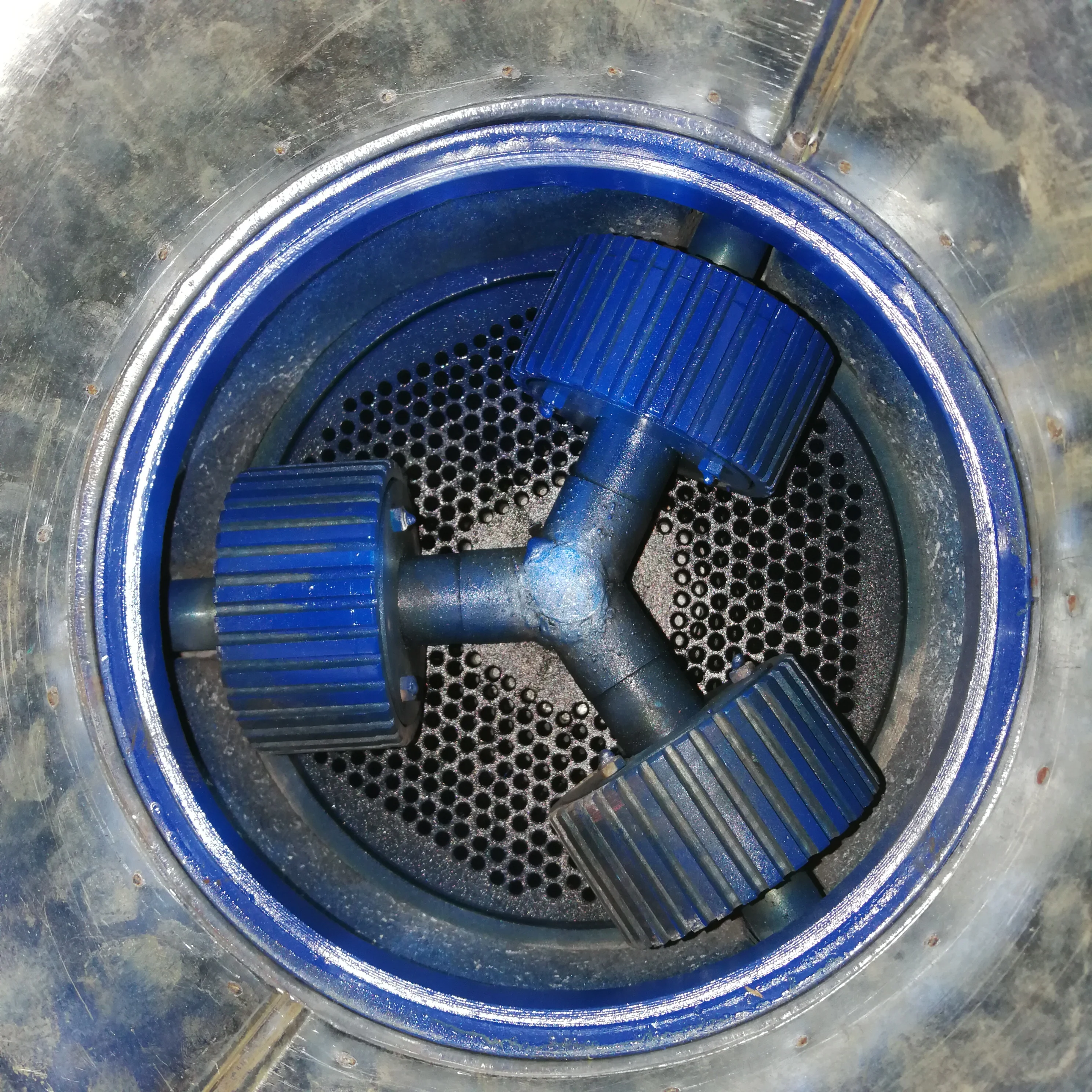 Poultry Granulator Feed Pelletizer Machine For Animal Feeds Chicken Pig Goat Cattle Cat Feed Pellet Making Machine