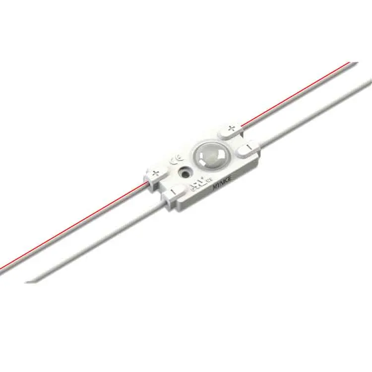 Light Box IP65 Injection Lens AC 220V 2835 LED Module