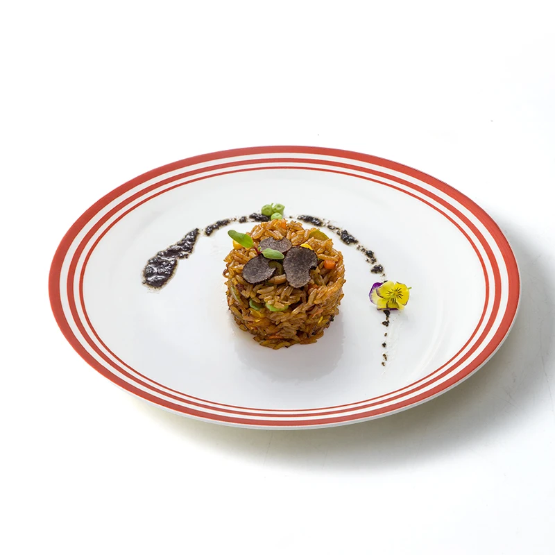 New Arrive German Ceramics Dinner Plate, Luxury Hotel Restaurant China Plates, Catering Bone China Dinner Plate