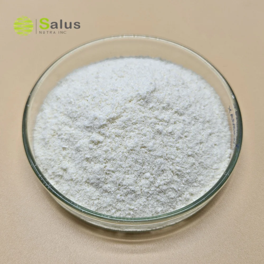 High Quality Raw Material Orotic Acid