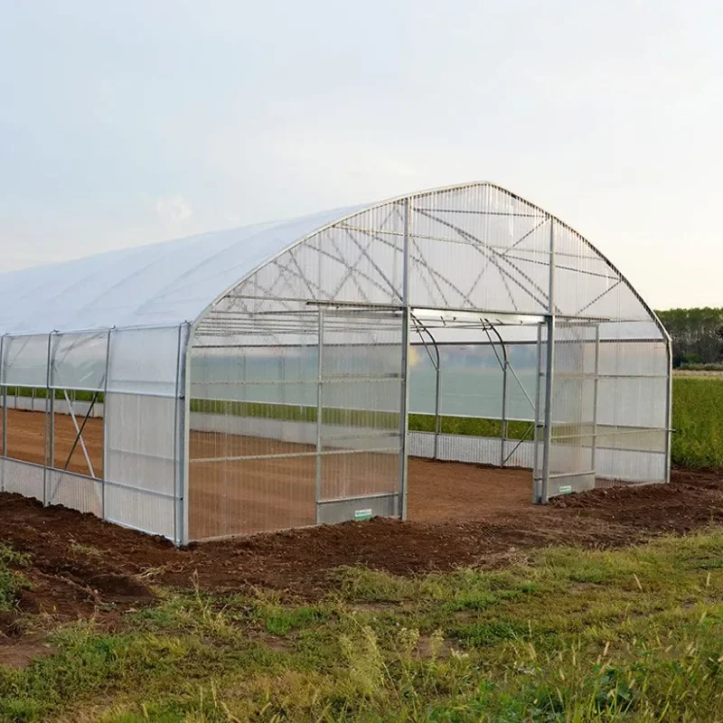 20 футов Солнечная теплица с УФ-стойким полиэтиленовым материалом металлический каркас для растений томатной клубники в сельскохозяйственных