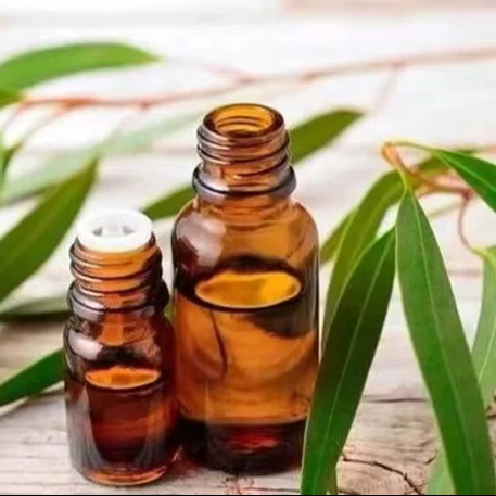 The largest eucalyptus essential oil production base in China GMP Eucalyptus oil 80% CAS NO.8000-48-4
