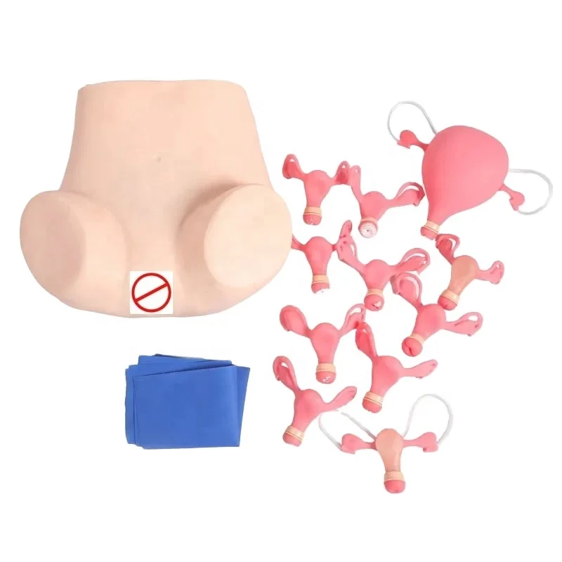 DARHMMY Medical Science Gynaecological Examination Simulation Model for Basic Training in Obstetrics