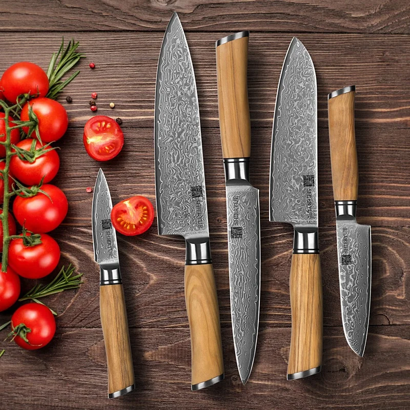 Hot Sale 5 Pcs 67 layers Damascus Knife Set Luxury Custom Olive Wood Damascus Steel Kitchen Knives