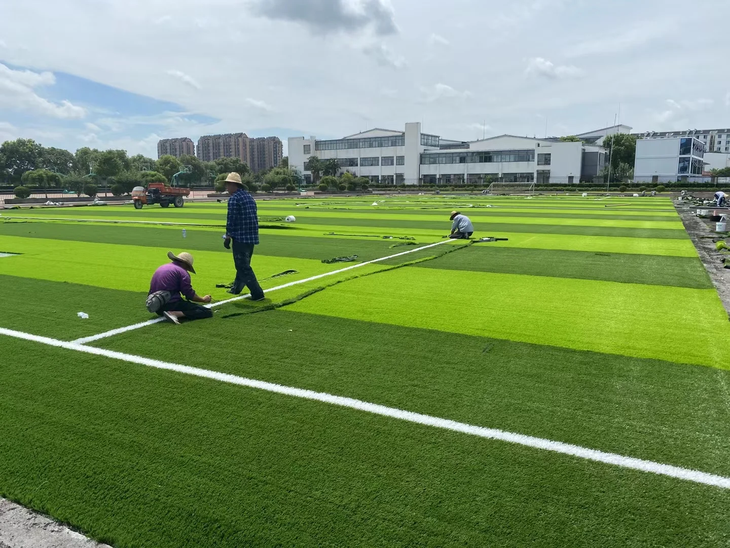 PE Straight  PP Curly Monofilament Non Infill Artificial Grass Sports Flooring  Artificial Grass Non Infilling