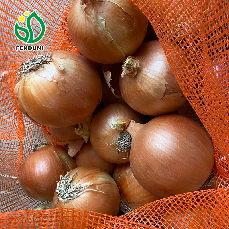 Carefully selected 10kg/20kg/25kg bulk fresh yellow onion chinese onion fresh onions from china