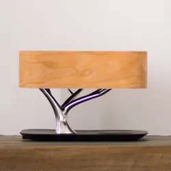 2020 best new year present LED desk lamp blue tooth speaker bedside lamp 3 in 1 YT-M1602-B2C