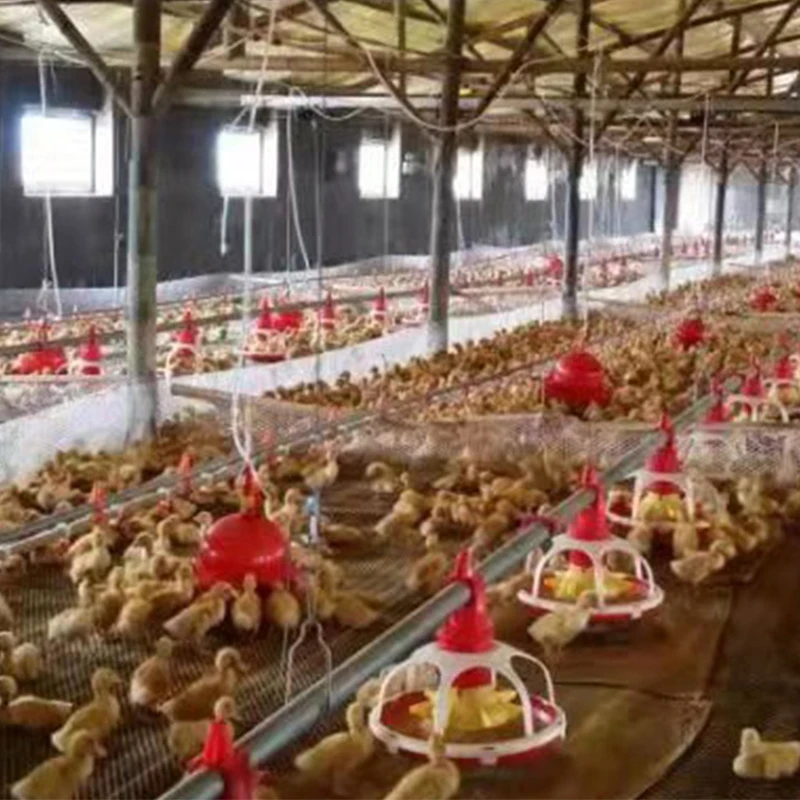 Оборудование для автоматической подачи уток на