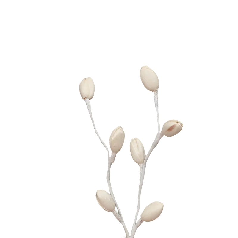 C&D 30ml Family Aromatherapy Essential Flower Aroma Oil Air Freshener Fresh Air Reed Diffuser Long Lasting Scent 50*26*52cm SGS