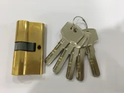 Brand new smart lock with cylinder in long life