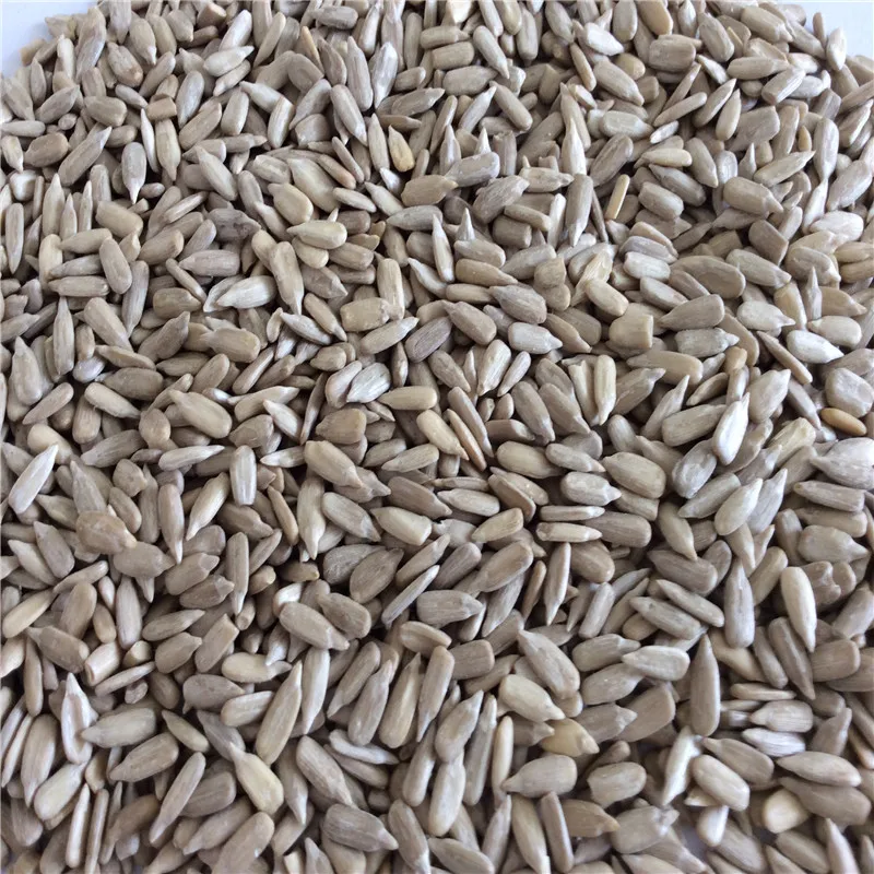 Kernels Sunflower Seeds For Kernels Sunflower Seeds Nuts For Sale