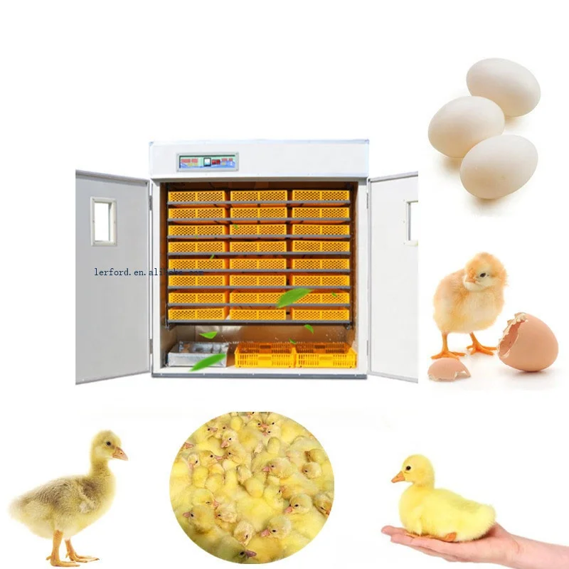Multifunctional Hot sale Fully Automatic Hatchery machine 5000 eggs Solar incubator
