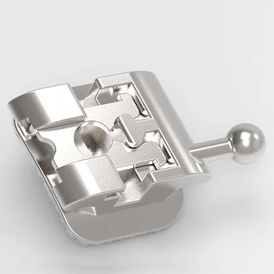 Hot Selling Orthodontic Demonstration Teeth Educational Teeth Model Orthodontic Model Teeth for Dental Course