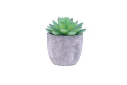 Artificial Succulent Plants Assorted Decorative Faux Succulent Potted Fake Cactus Cacti Plants with Gray Pots Set of 5 ES0845