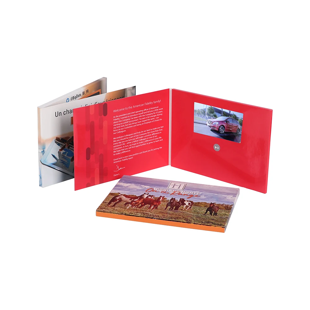 
promotional laptop lcd screen video card 