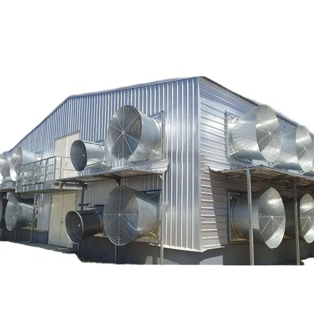 QingDao RT Steel Structure Low cost prefabricated steel structure Poultry chicken farm