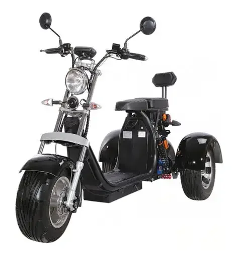 1500W electric motor tricycle with 10 inch tires motor car battery power 60v-20ah citycoco electric scooter