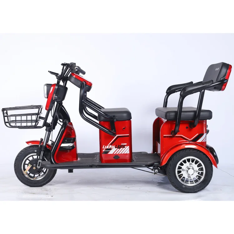 Fast Shipping manufacture Adult 3 Wheel passenger motorized cargo electric scooter tricycle electric for leisure
