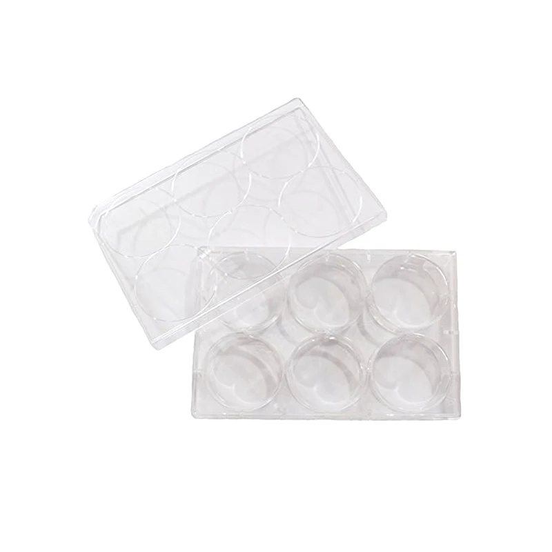 Manufacturer Disposable 6/12/24/48/96 Wells Multiwell Cell Culture Plates Tissue Culture Plates