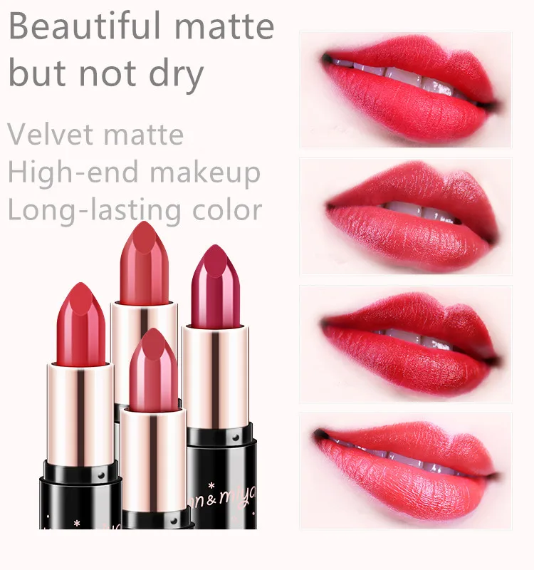Matte Lipstick Long Lasting High Pigmented Waterproof 4 Colors Lip Gloss Kit For Lips Makeup