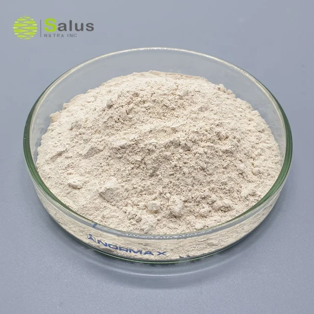 Factory Wholesale Hydroxycitric Acid 65% Garcinia Cambogia Extract Powder