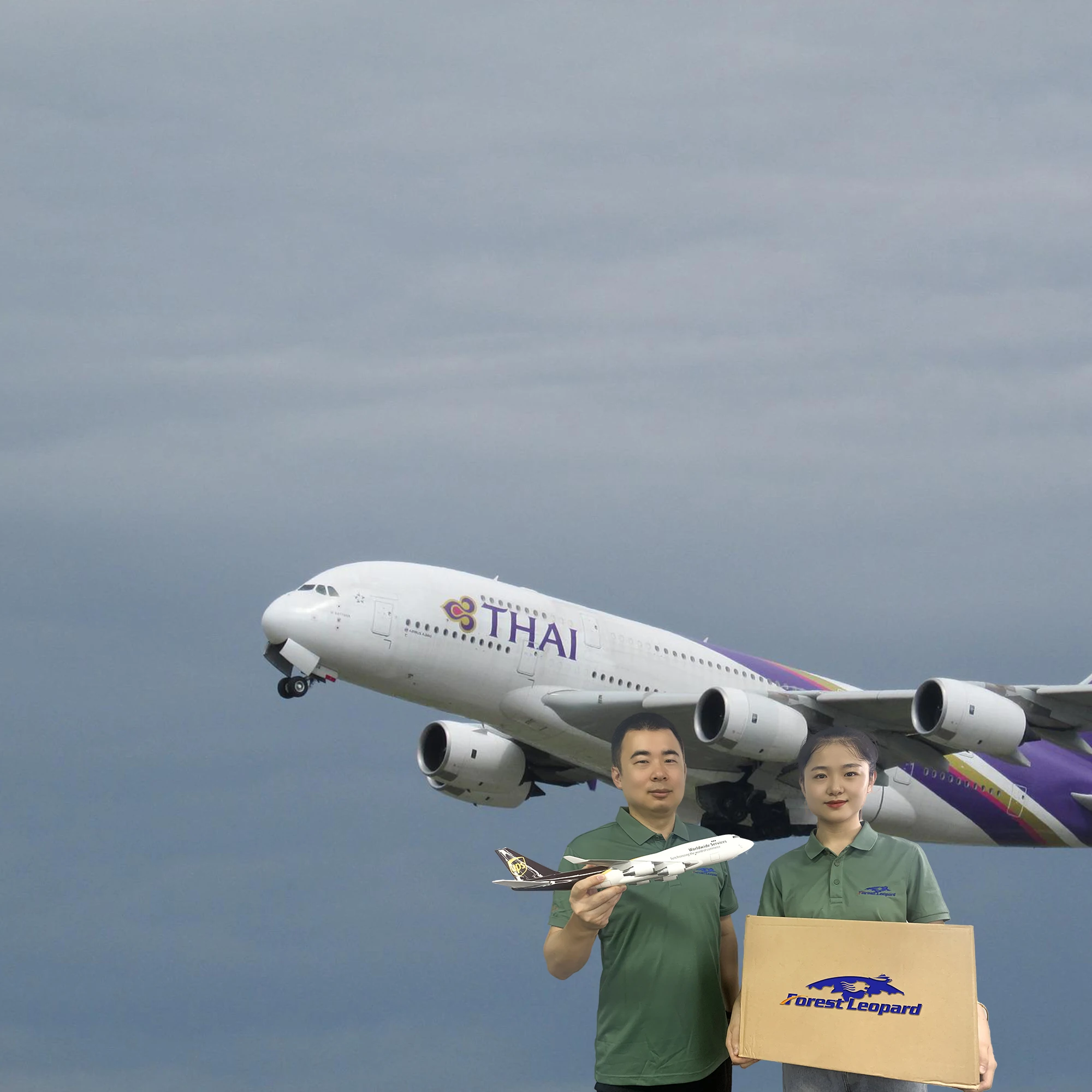 Ocean Freight Rates China Shipping to Algeria Book Shipping Space 7days Free Storage Pickup from Every Supplier FCL and LCL