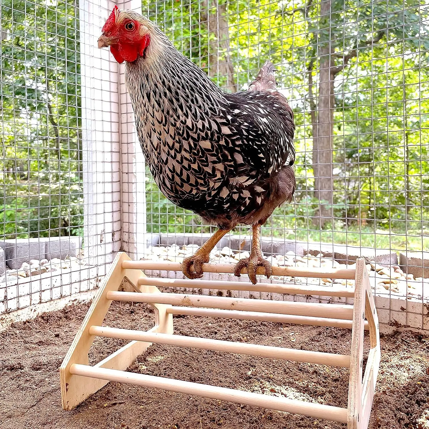 Wooden Jungle Gym Roosting Bar Chicken Toys for Coop and Brooder for Baby Chicks Pet Holder