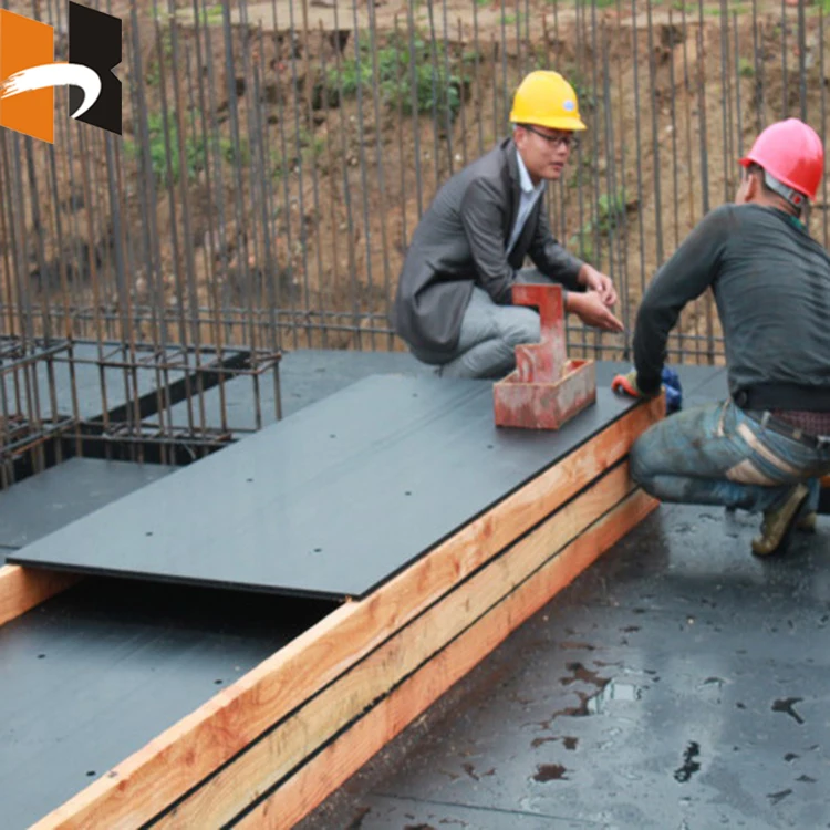 Building Board 12mm Waterproof Hollow Plastic Formwork Board For Sale