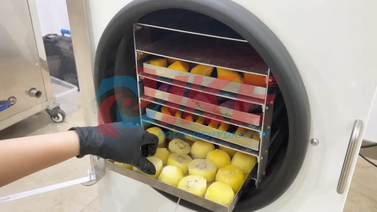 Home Use Freeze Drying fruits and vegetables Food Dehydrator  Vacuum Freeze Dryer Machine