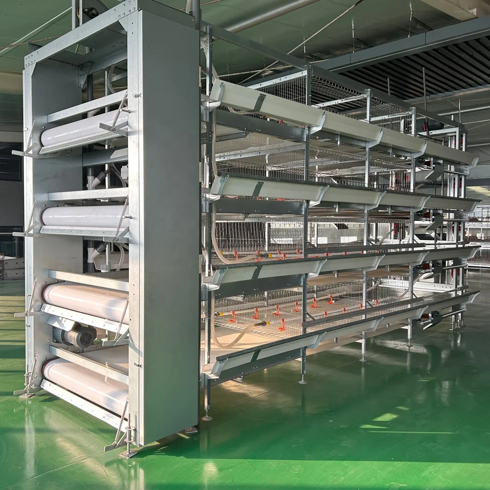 Cheap Price Automatic Bird Harvesting Battery Cage H Type Broiler Chicken Cages For Sale