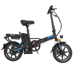 2021 Wholesale 14 Inch 48V 10AH 300W Thick Disc Brake Foldable Electric City Bicycle Fashion Custom Ebike