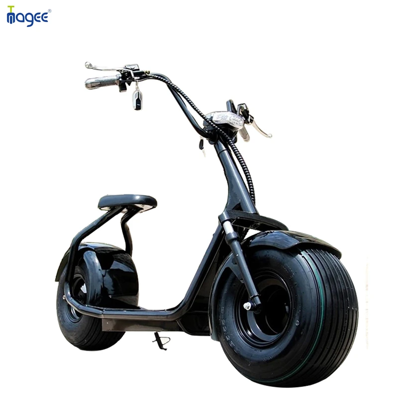 2025 High speed 18 inch other electric scooter 1500w 2000w electric moped with lead acid battery e-moped with pedal