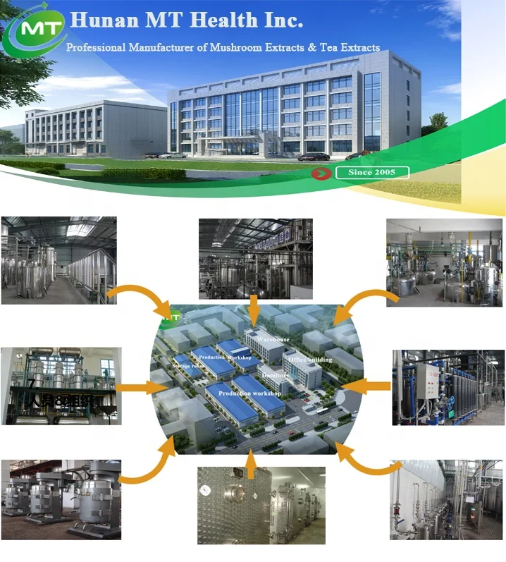 Free sample High quality 100% Organic Grapefruit Seed Extract powder 10:1 Citrus paradisi extract Grapefruit seed extract bulk