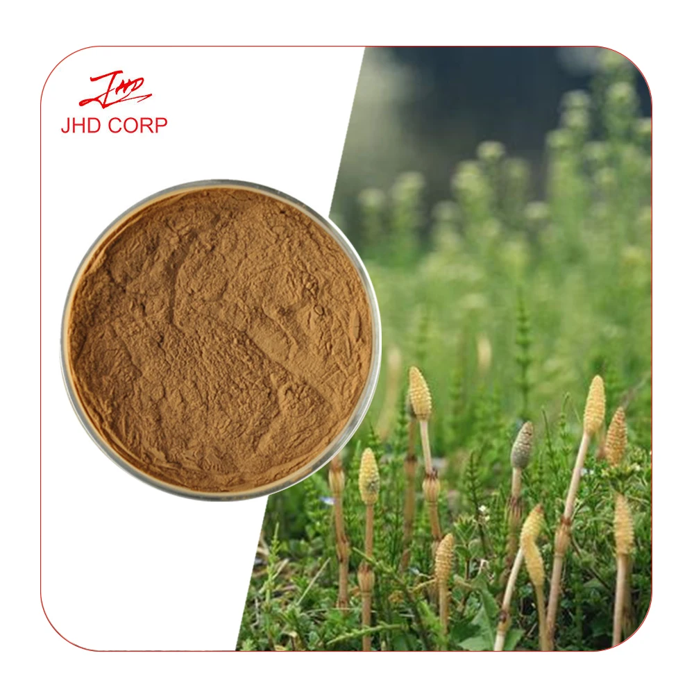 Factory Wholesale Organic Horsetail Extract Powder with 7% Silica